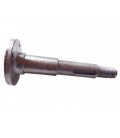 Arbore  As. Exhaustor